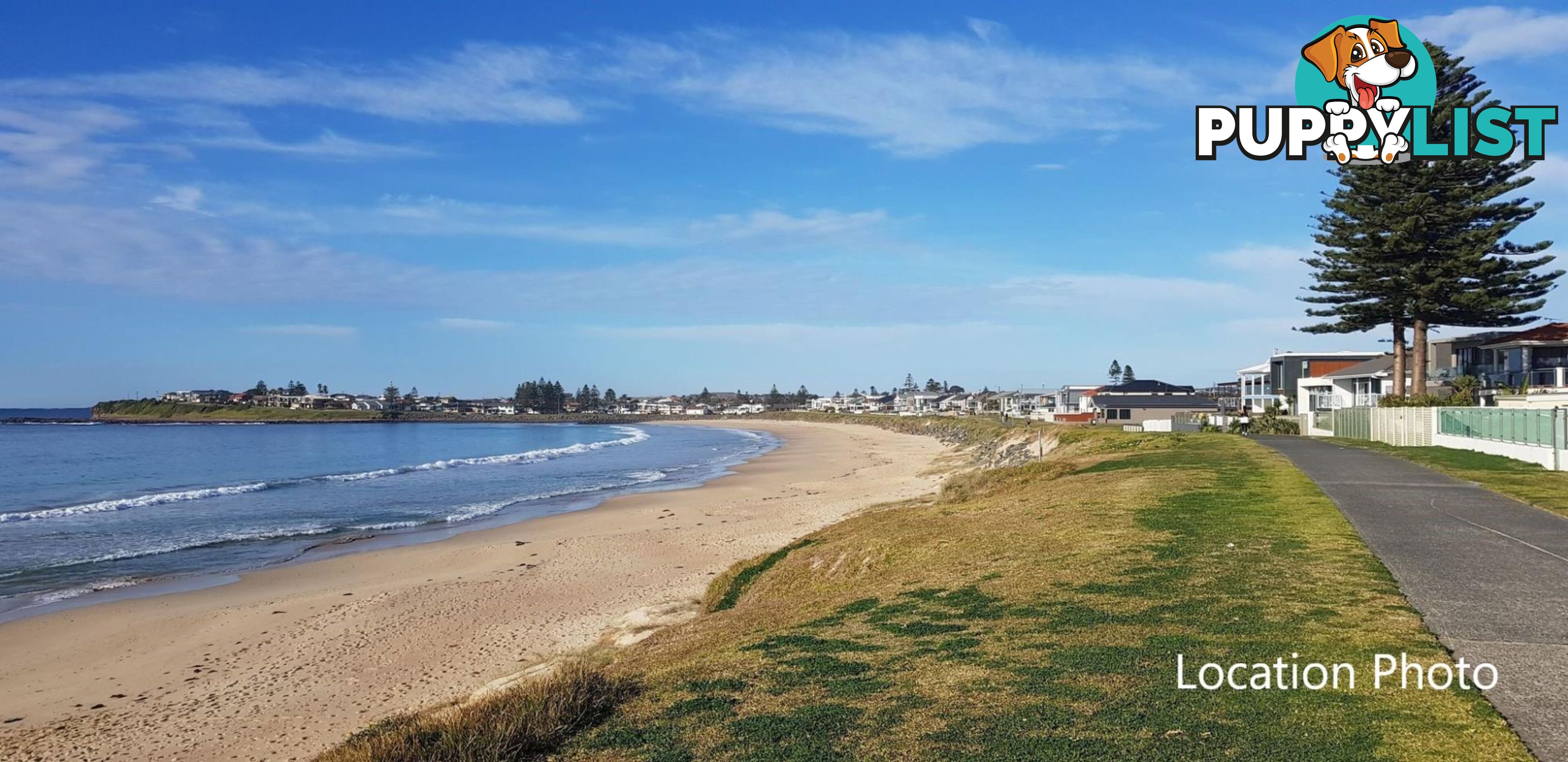 5 Peterborough Ave LAKE ILLAWARRA NSW 2528