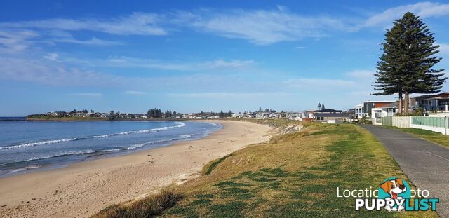 5 Peterborough Ave LAKE ILLAWARRA NSW 2528