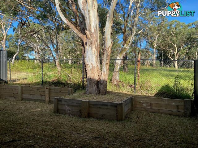 48 Upland Chase ALBION PARK NSW 2527