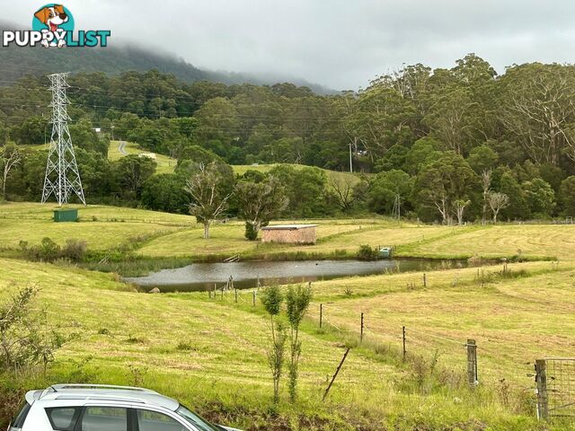 1/61 Paynes Rd STREAM HILL NSW 2526