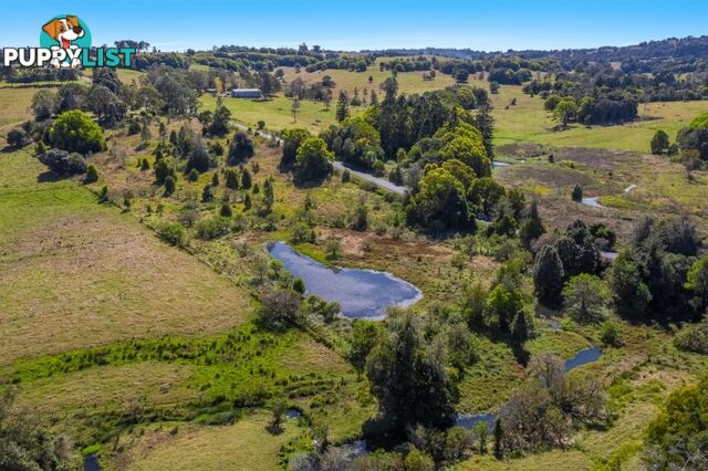 641 Wyrallah Road MONALTRIE NSW 2480