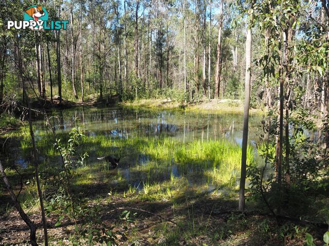 201 Bushy Drive TABULAM NSW 2469