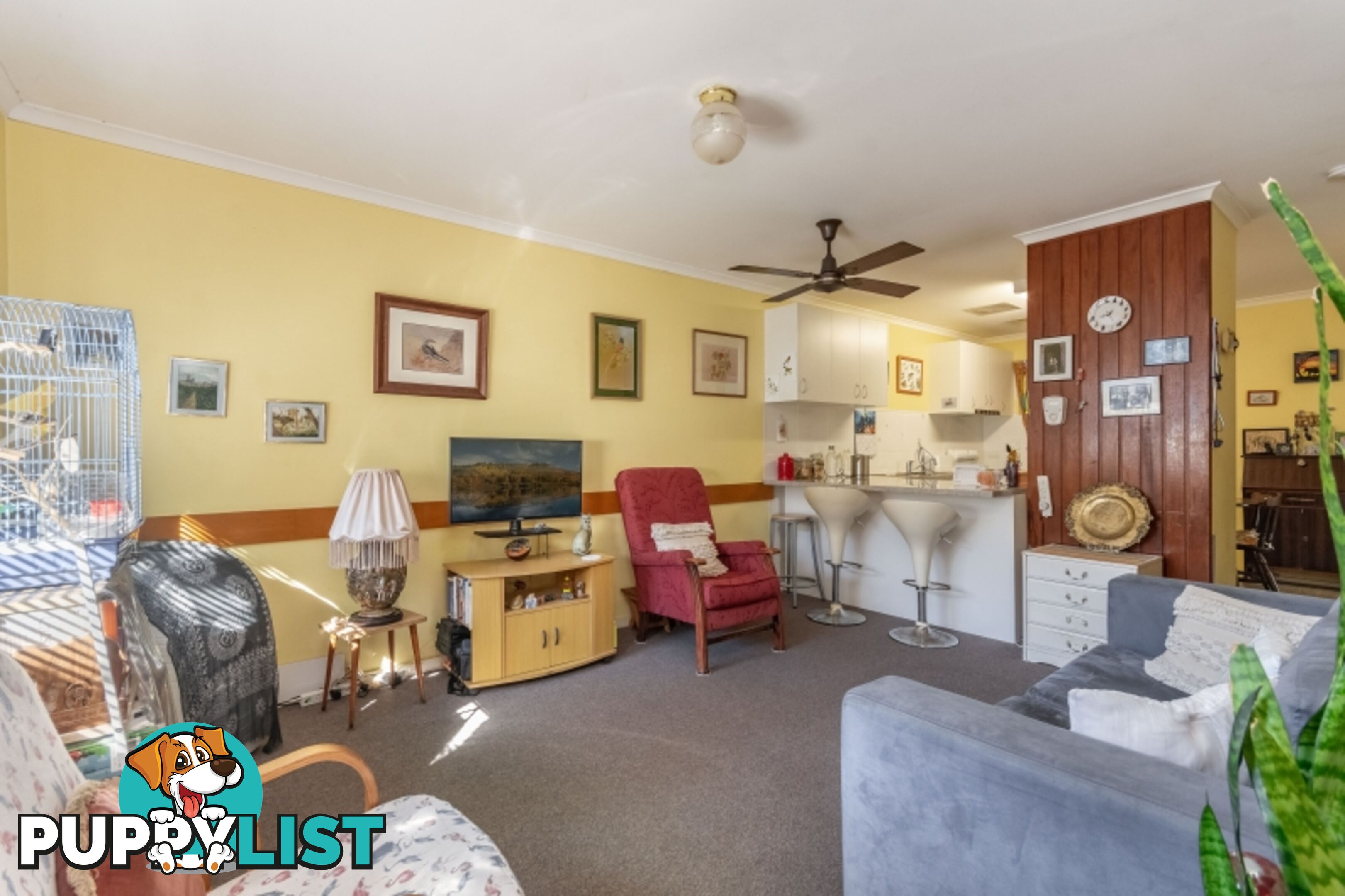 1-4 96 College Street  NSW 2480