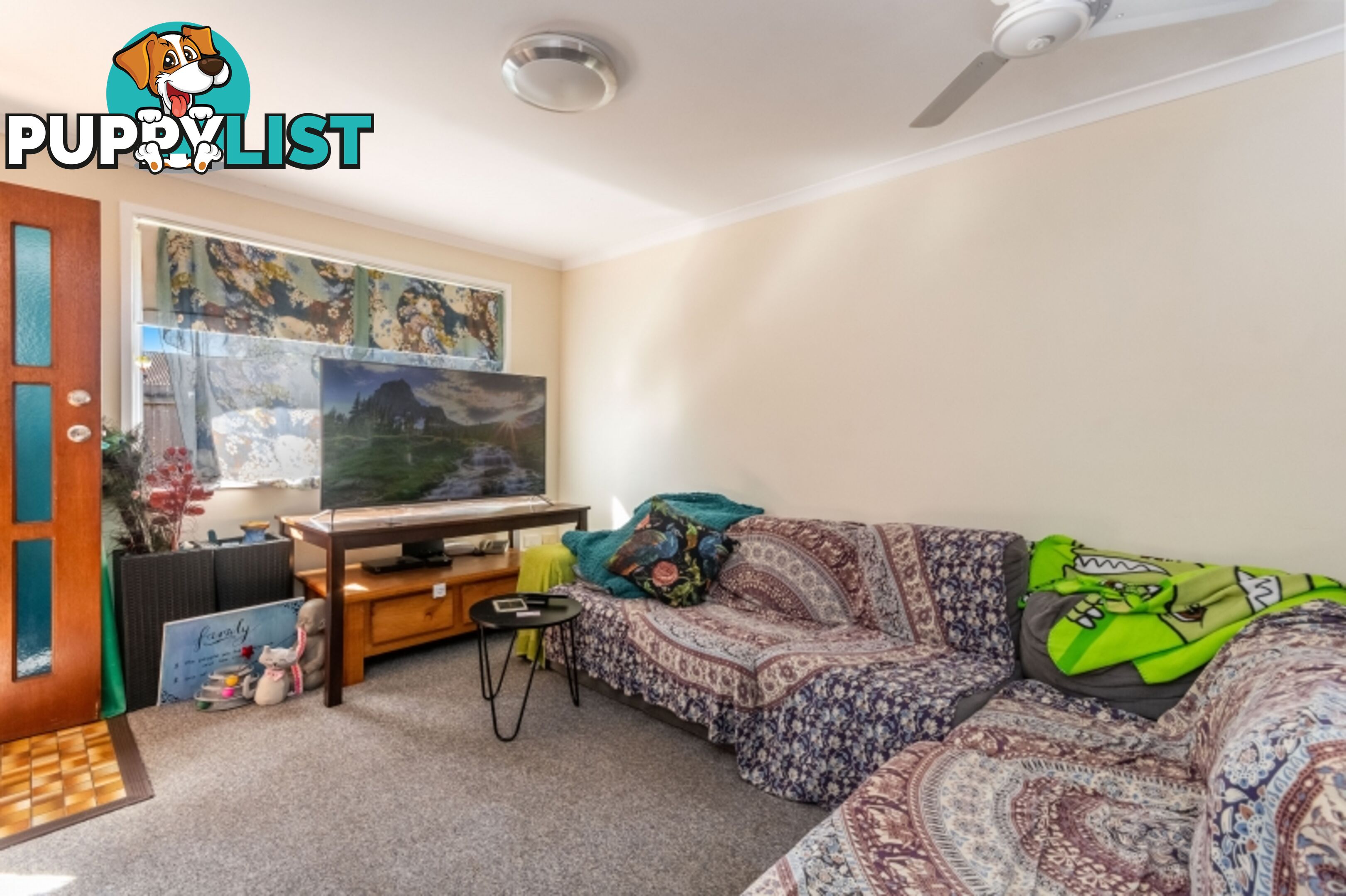 1-4 96 College Street  NSW 2480