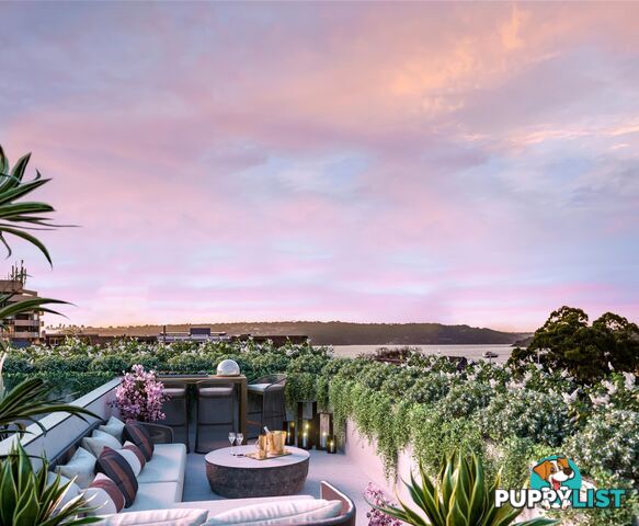 Penthouse Richmond Road ROSE BAY NSW 2029