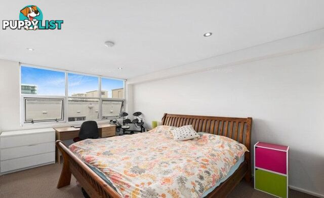 79 Gould Street BONDI BEACH NSW 2026