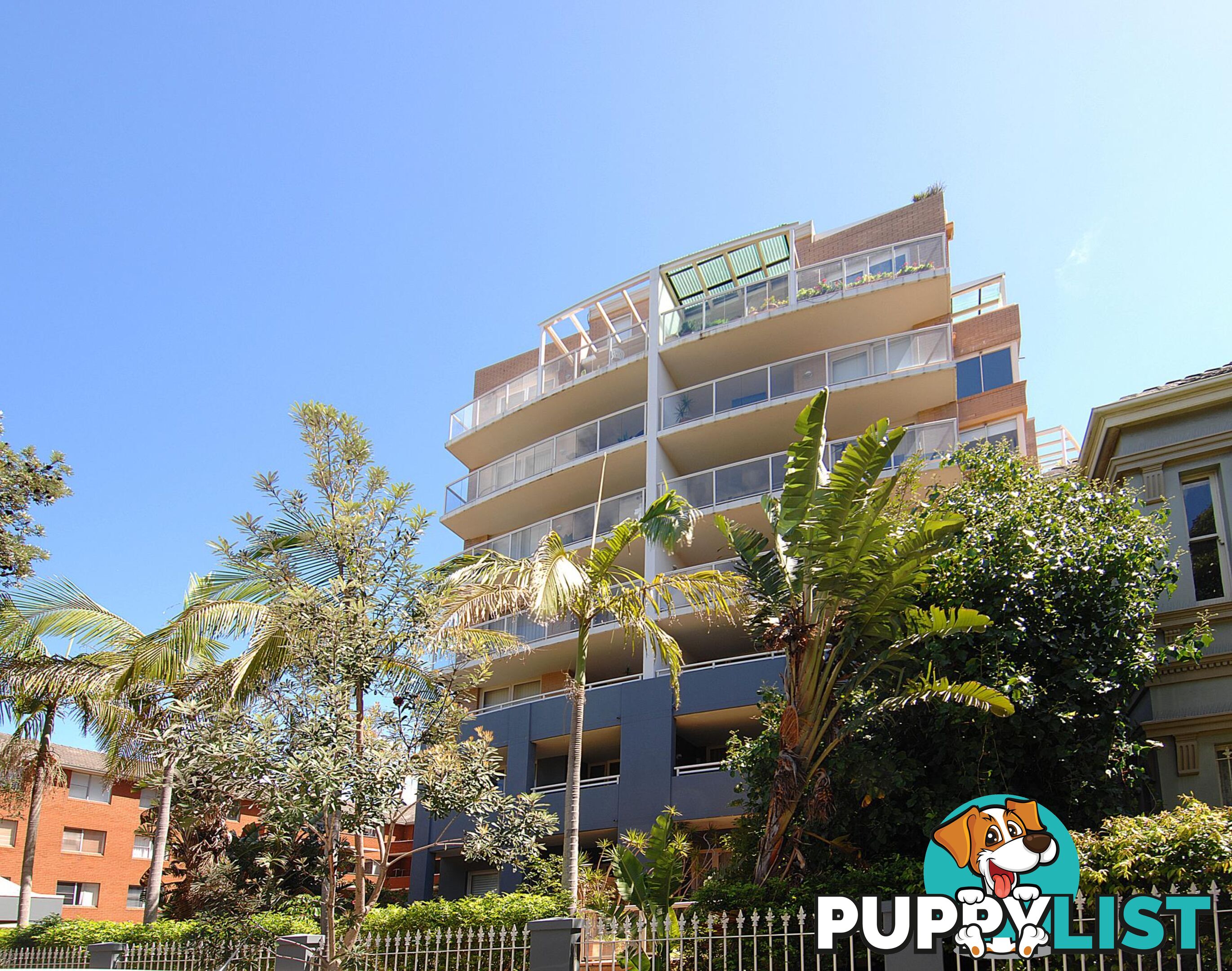 6/35 Ocean Street BONDI NSW 2026