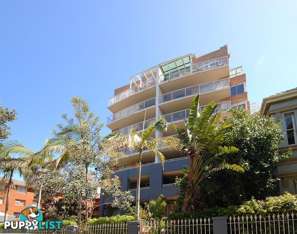 6/35 Ocean Street BONDI NSW 2026