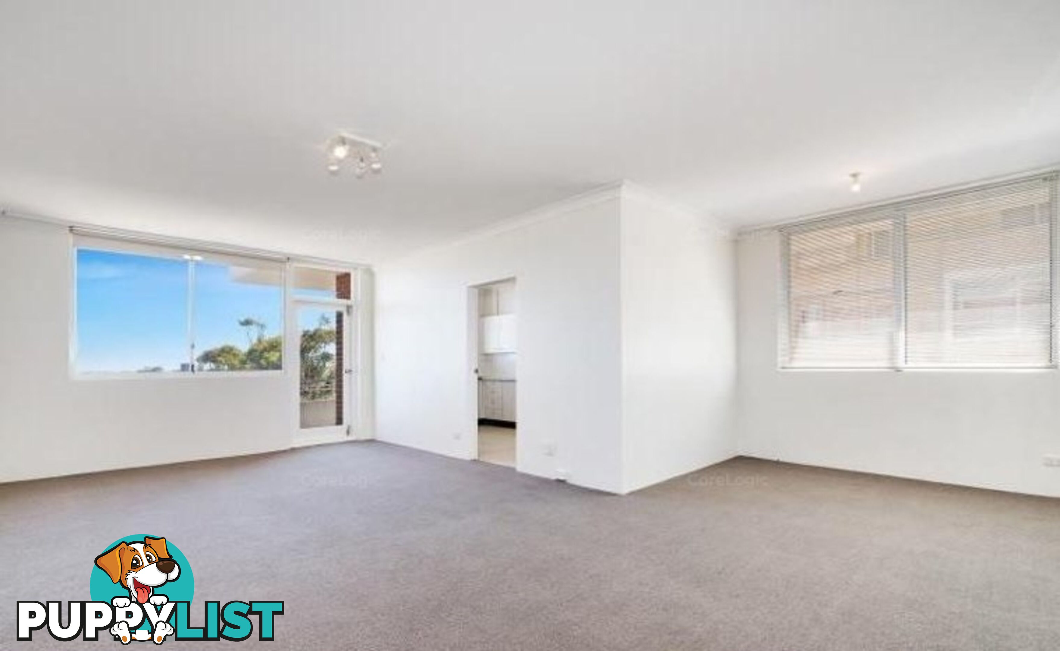 205 Birrell Street WAVERLEY NSW 2024