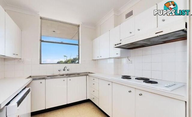 205 Birrell Street WAVERLEY NSW 2024