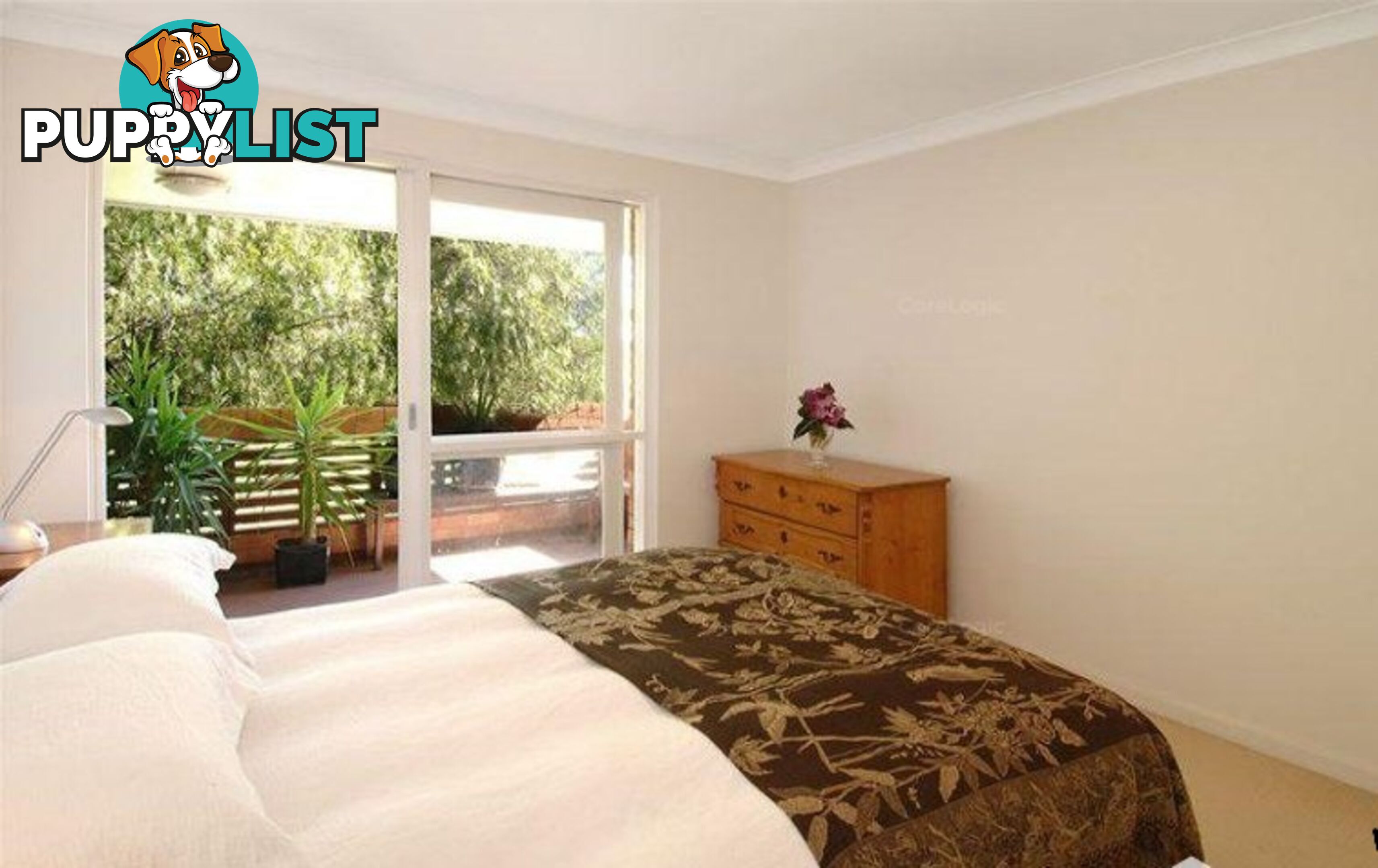 10-12 Liverpool Street ROSE BAY NSW 2029