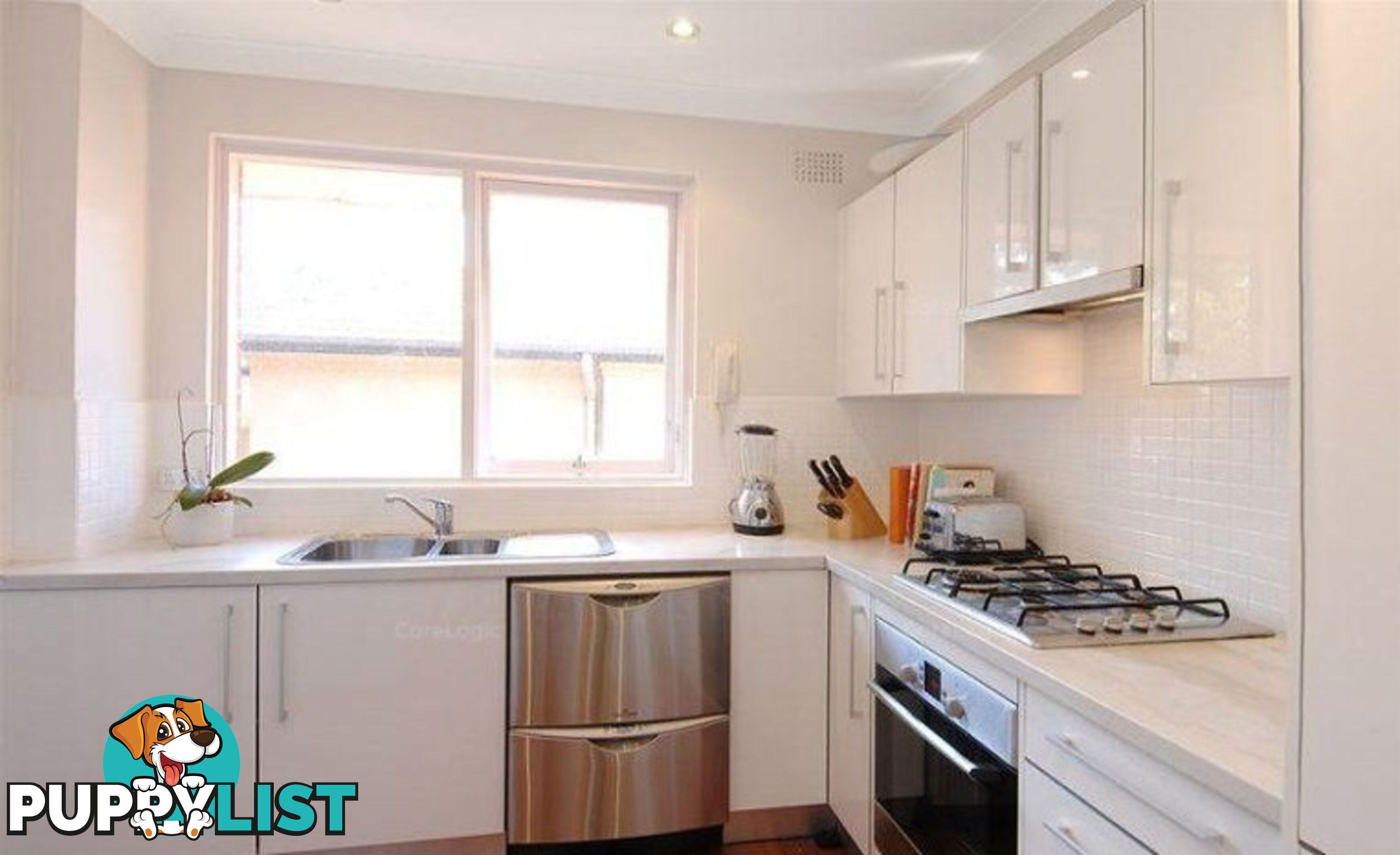 10-12 Liverpool Street ROSE BAY NSW 2029