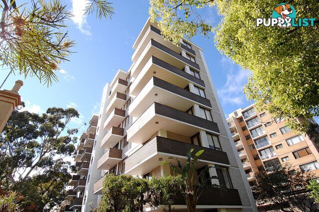 8/20 Penkivil Street BONDI NSW 2026