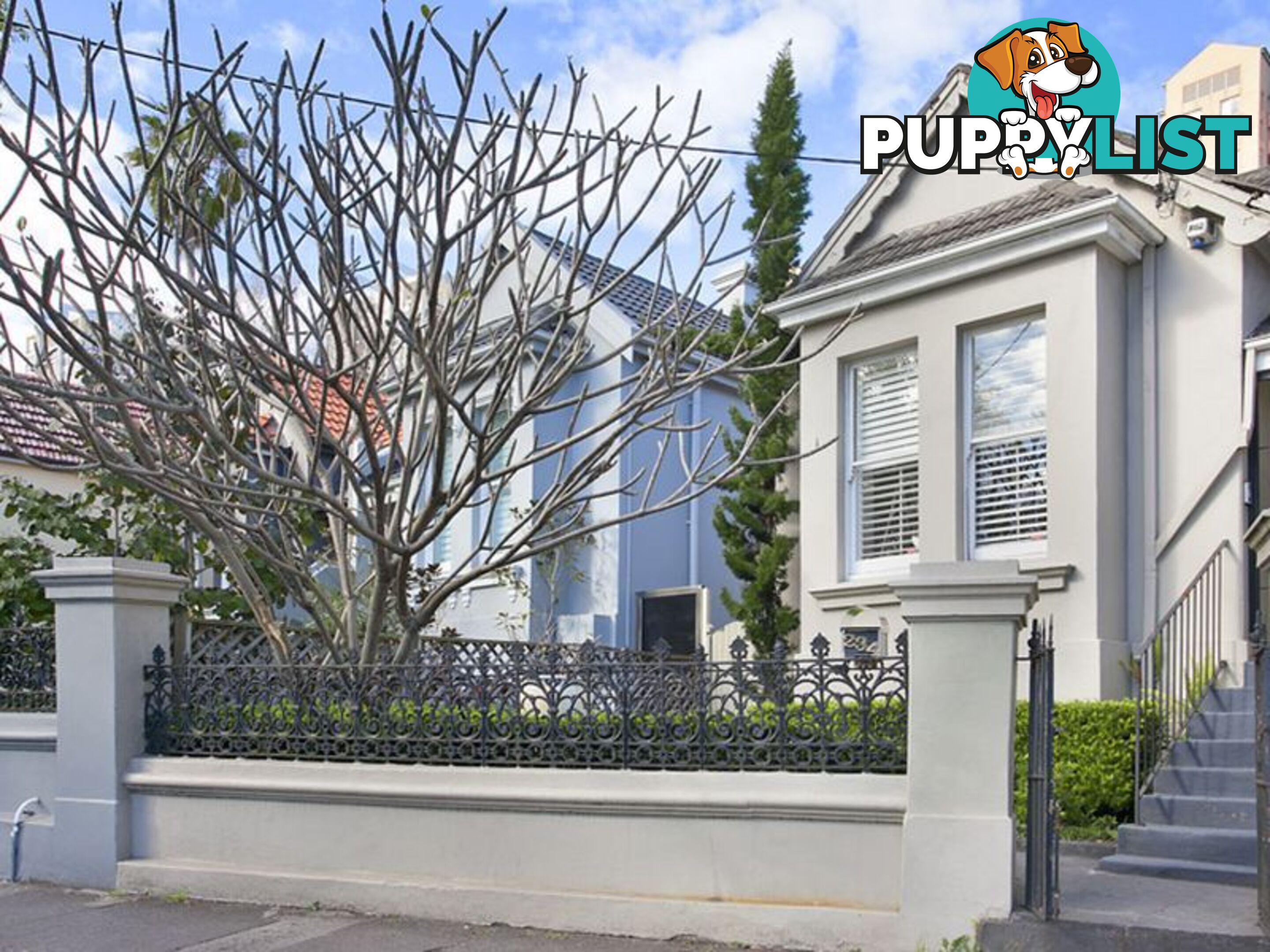 234 Edgecliff Road WOOLLAHRA NSW 2025