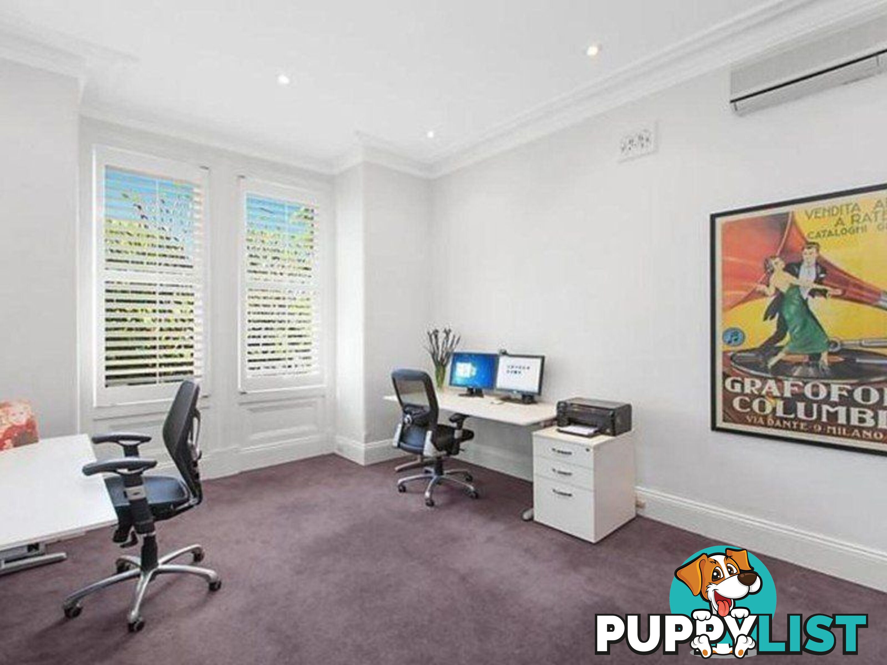 234 Edgecliff Road WOOLLAHRA NSW 2025