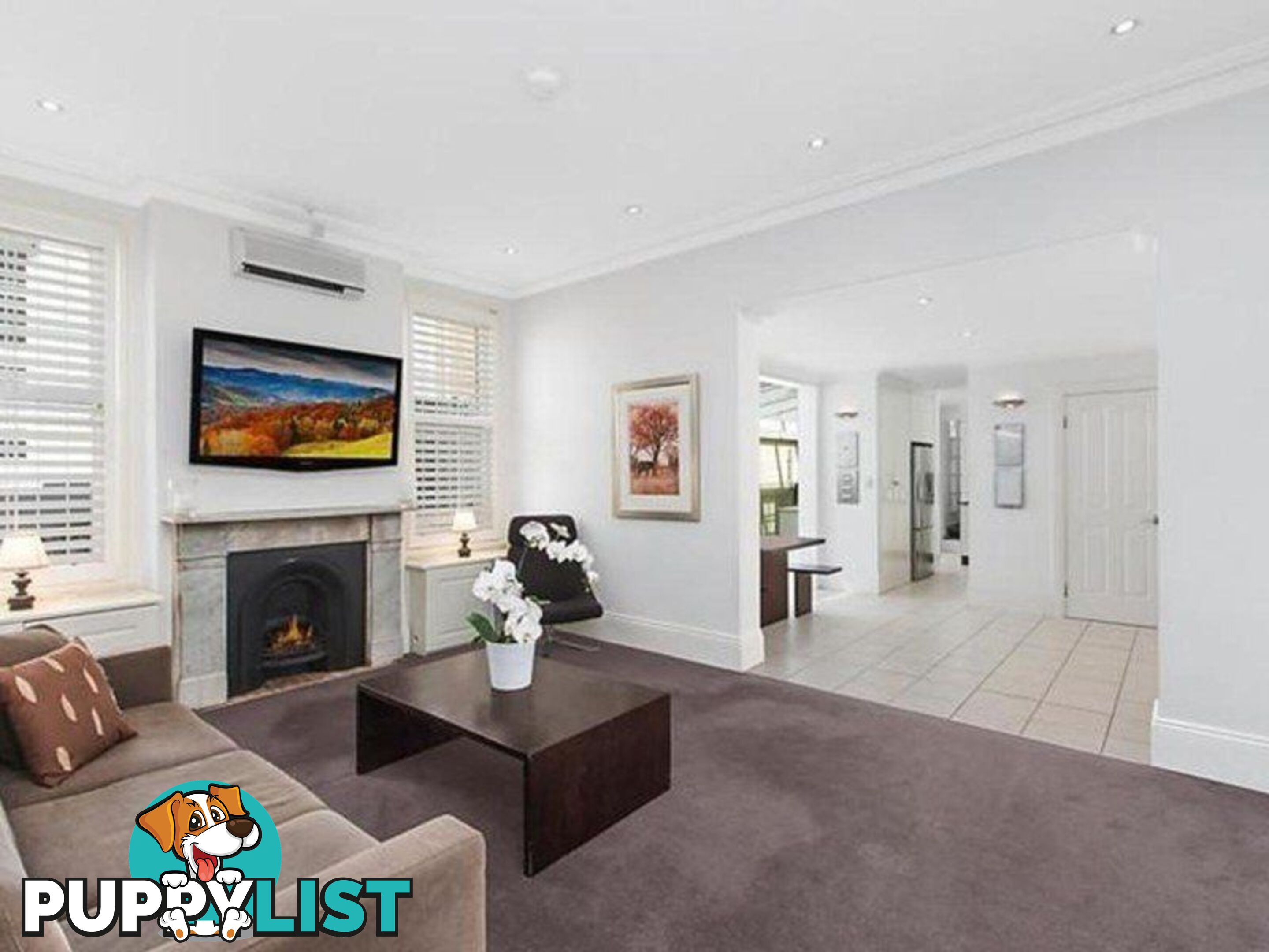 234 Edgecliff Road WOOLLAHRA NSW 2025