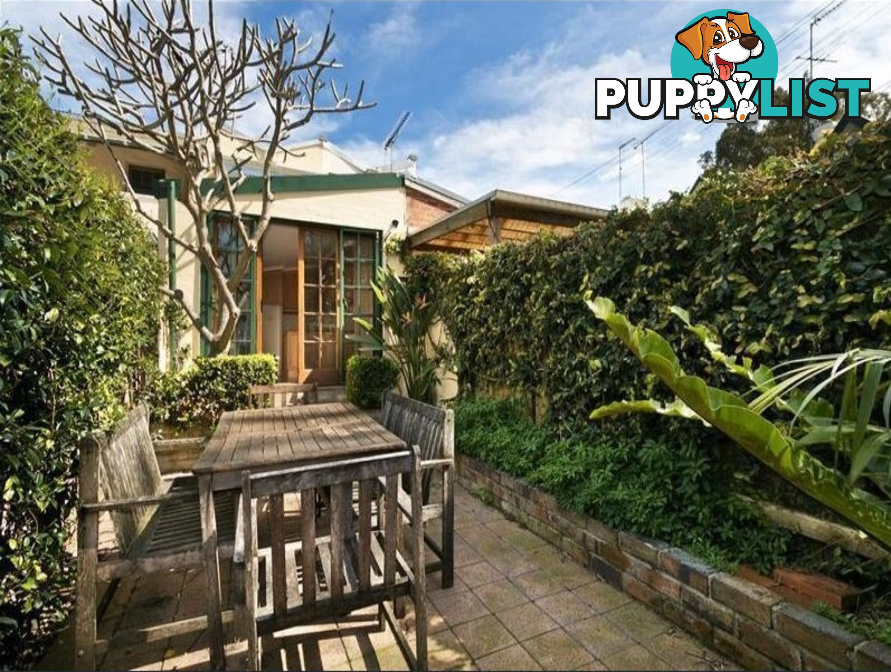 4 Victoria Place PADDINGTON NSW 2021