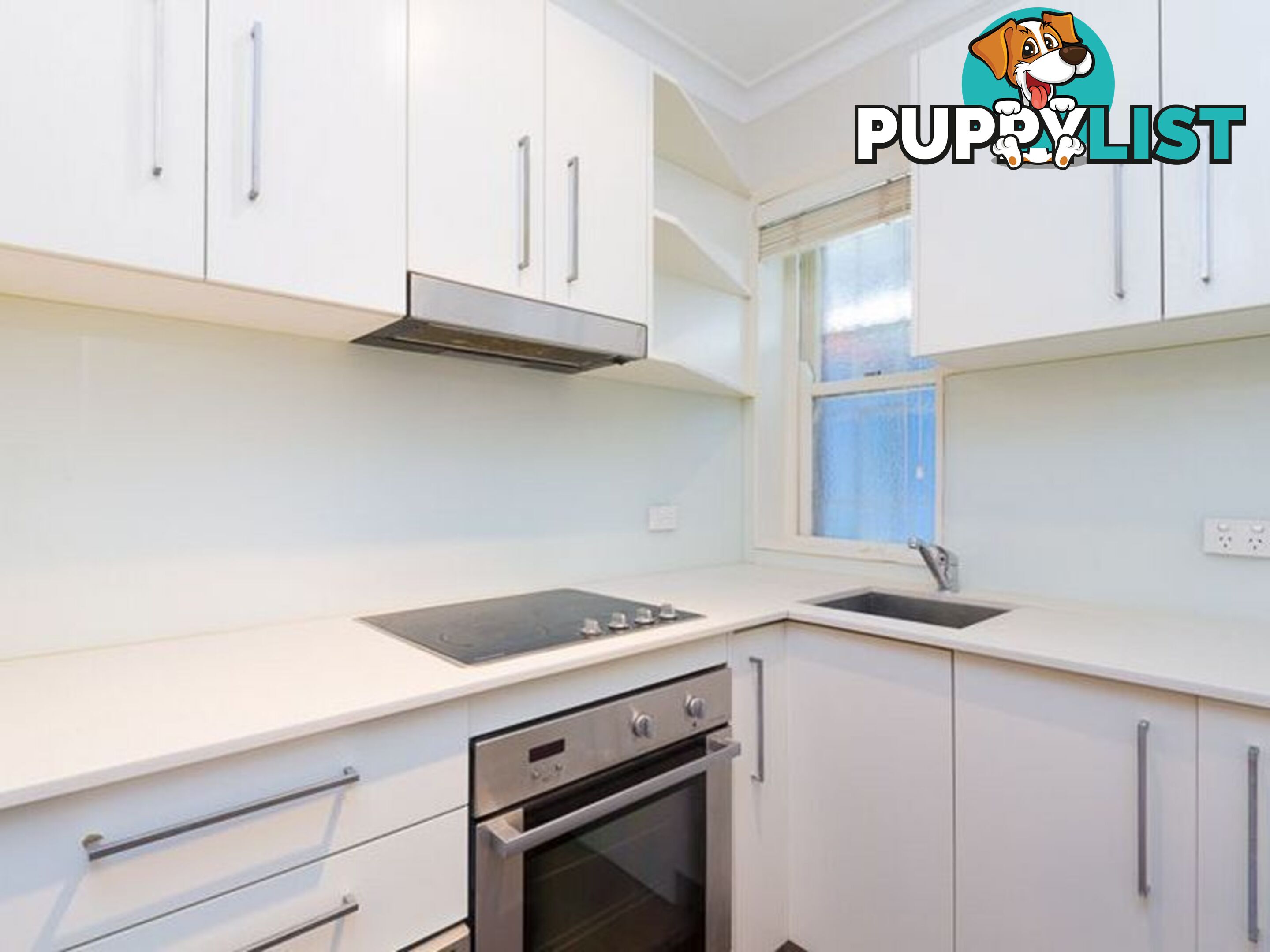 61 Liverpool Street PADDINGTON NSW 2021