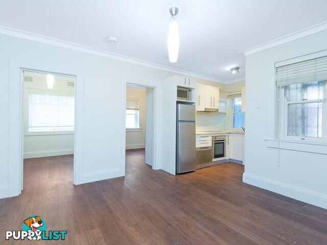 61 Liverpool Street PADDINGTON NSW 2021