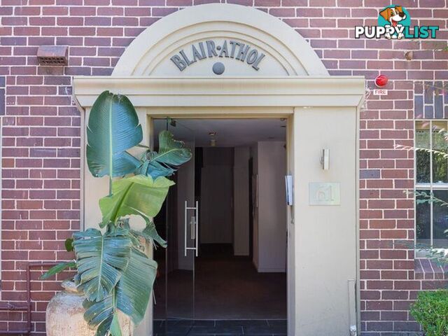 61 Liverpool Street PADDINGTON NSW 2021