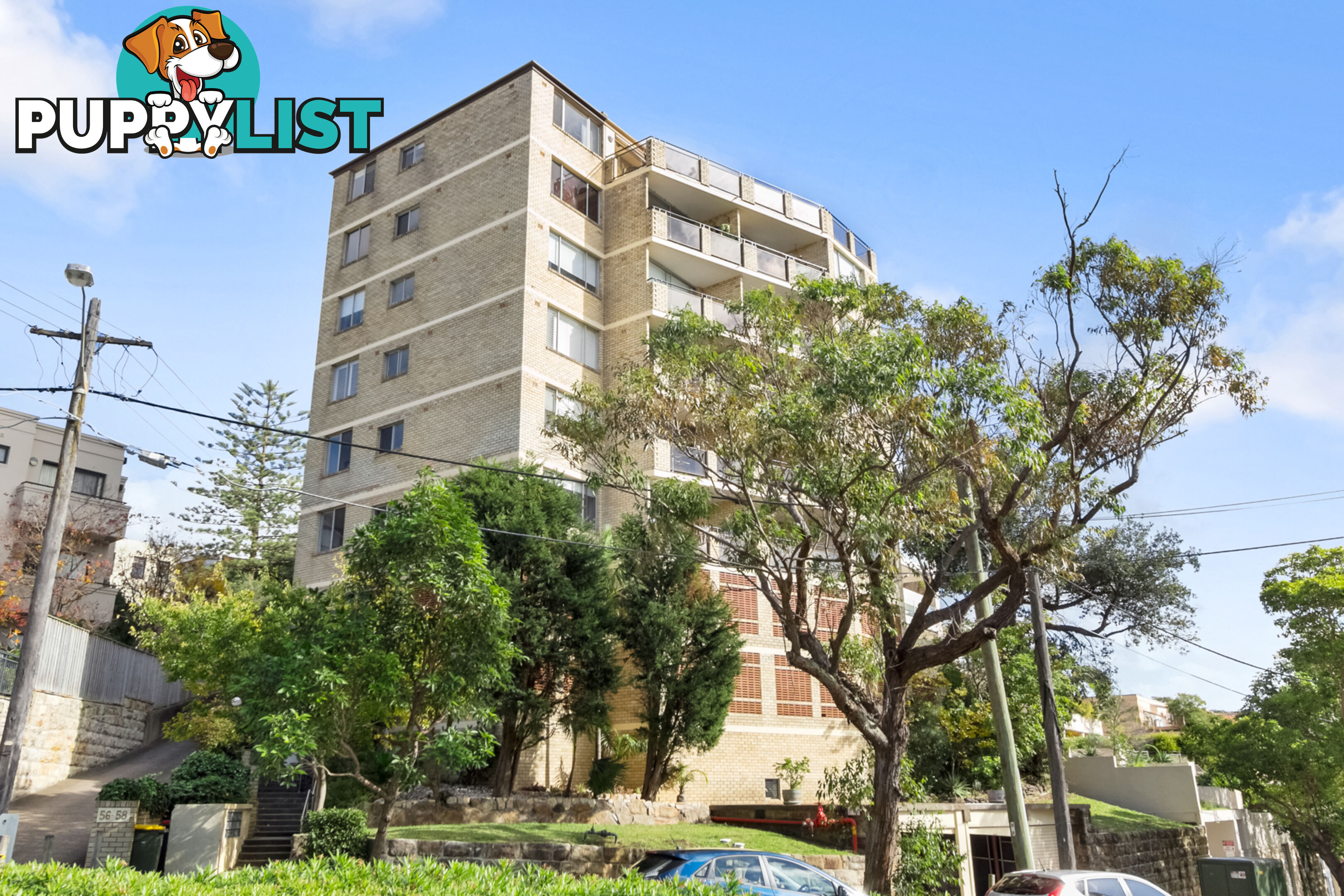 56 Birriga Road BELLEVUE HILL NSW 2023