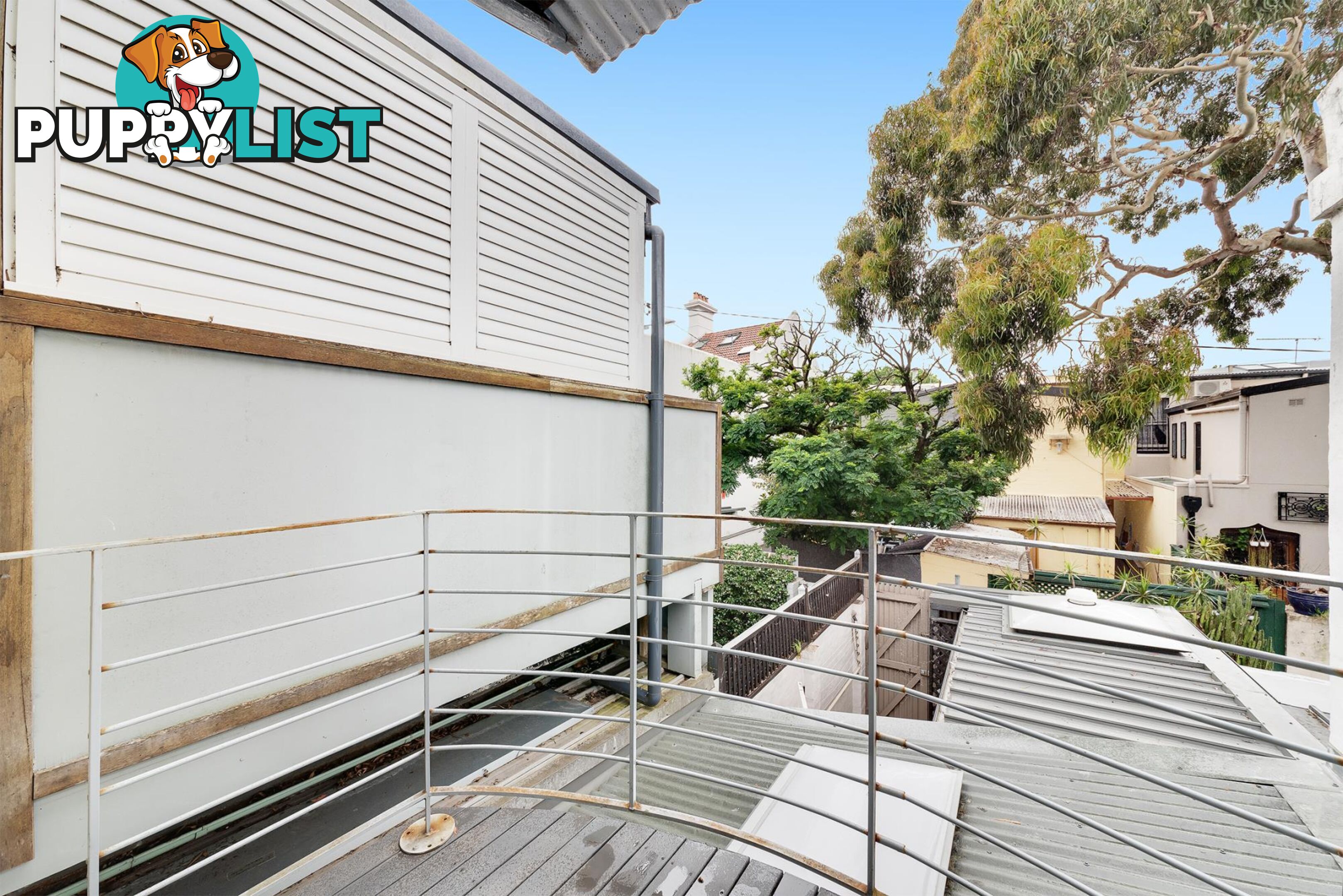 5 Iris Street PADDINGTON NSW 2021