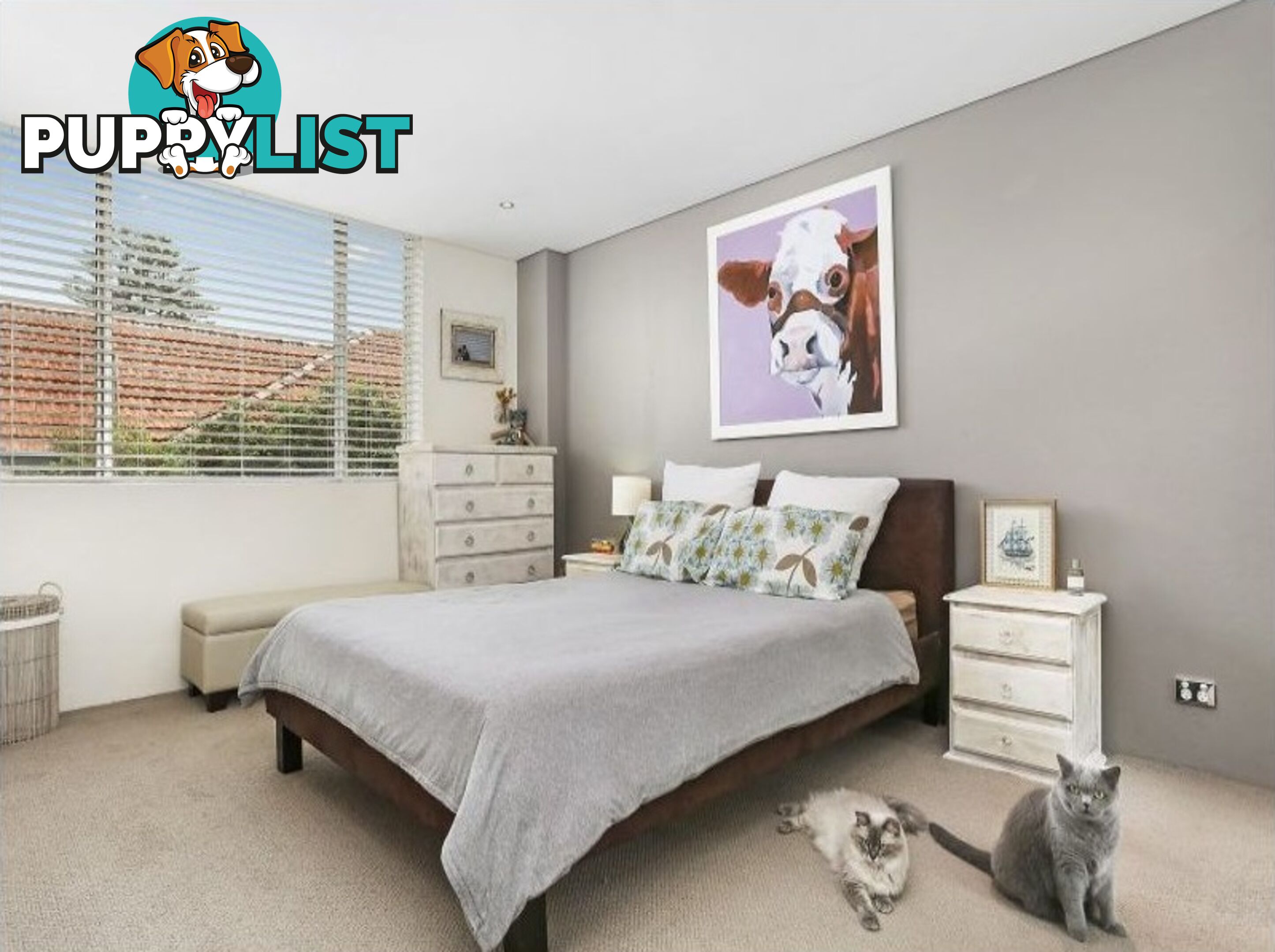 19/5-7 Macpherson Street WAVERLEY NSW 2024