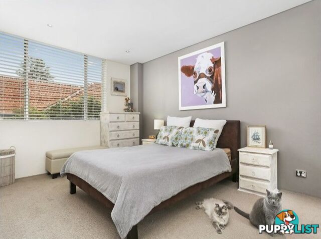 19/5-7 Macpherson Street WAVERLEY NSW 2024