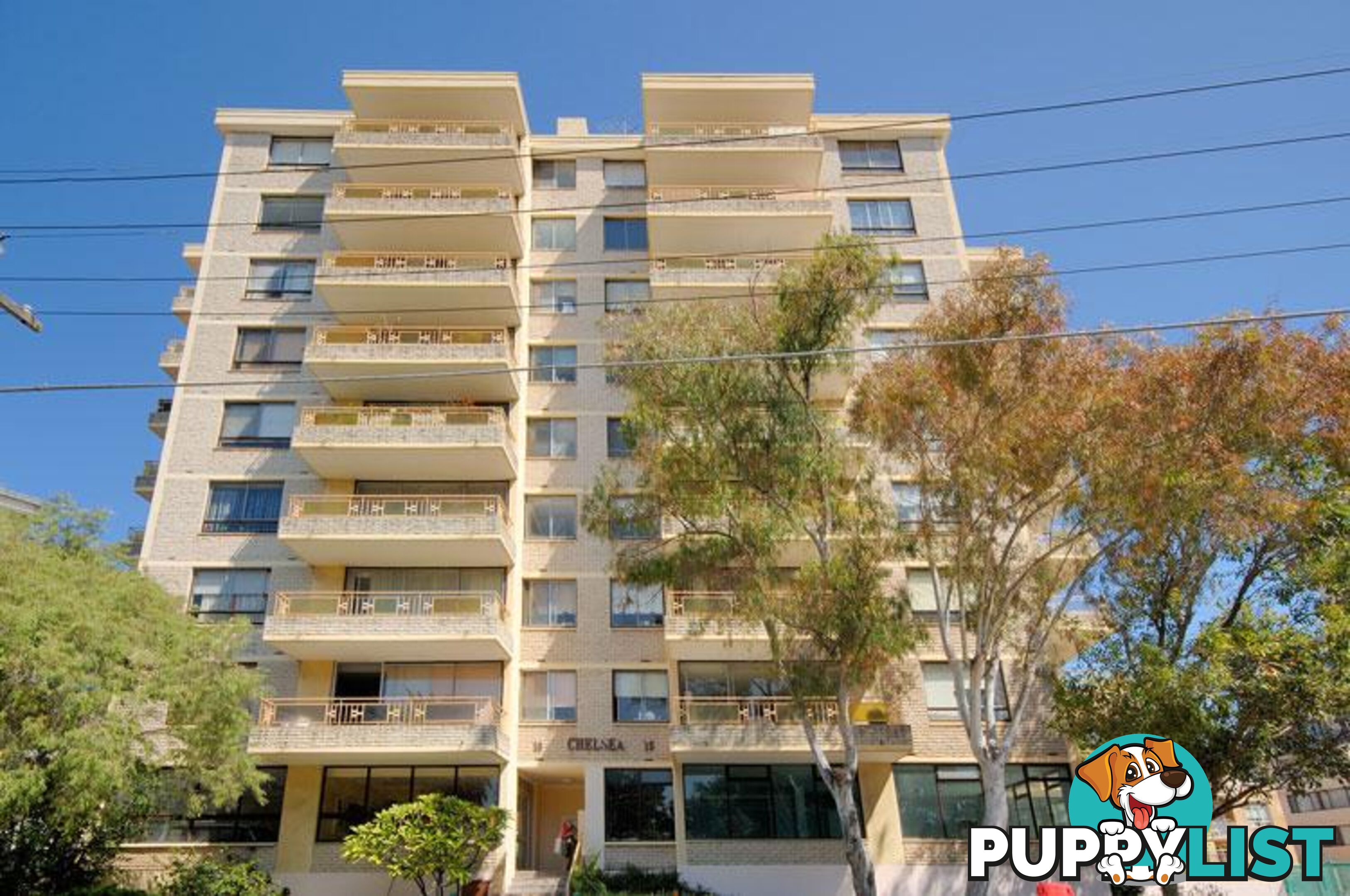 15-19 Waverly Crescent BONDI JUNCTION NSW 2022