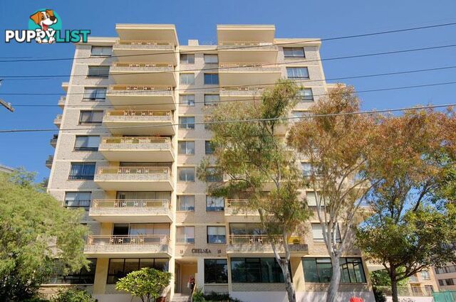 15-19 Waverly Crescent BONDI JUNCTION NSW 2022