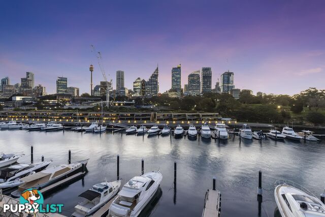 511/6E Cowper Wharf Roadway WOOLLOOMOOLOO NSW 2011