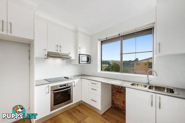 12 The Avenue ROSE BAY NSW 2029