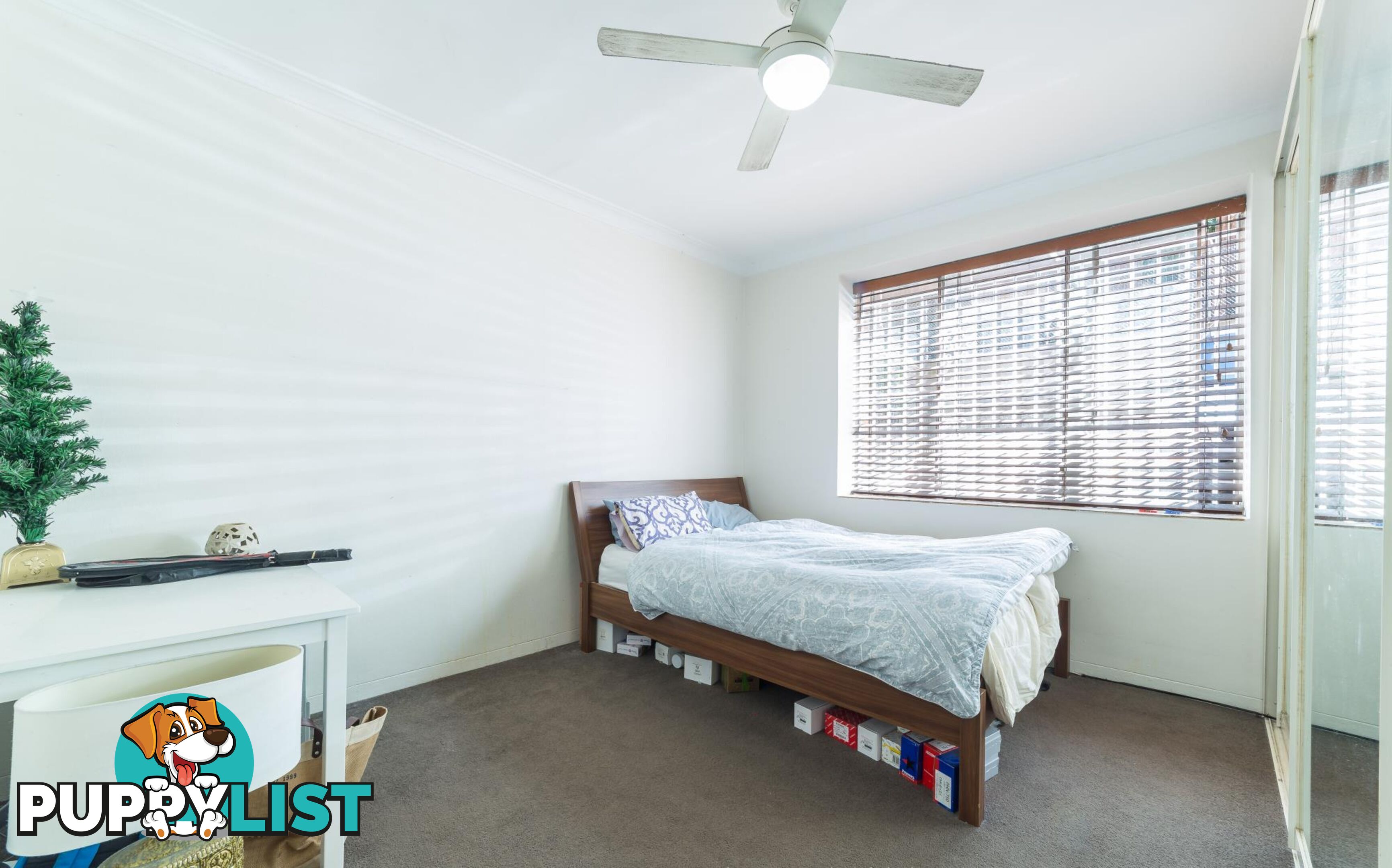 15/11-15 Gilbert Street DOVER HEIGHTS NSW 2030