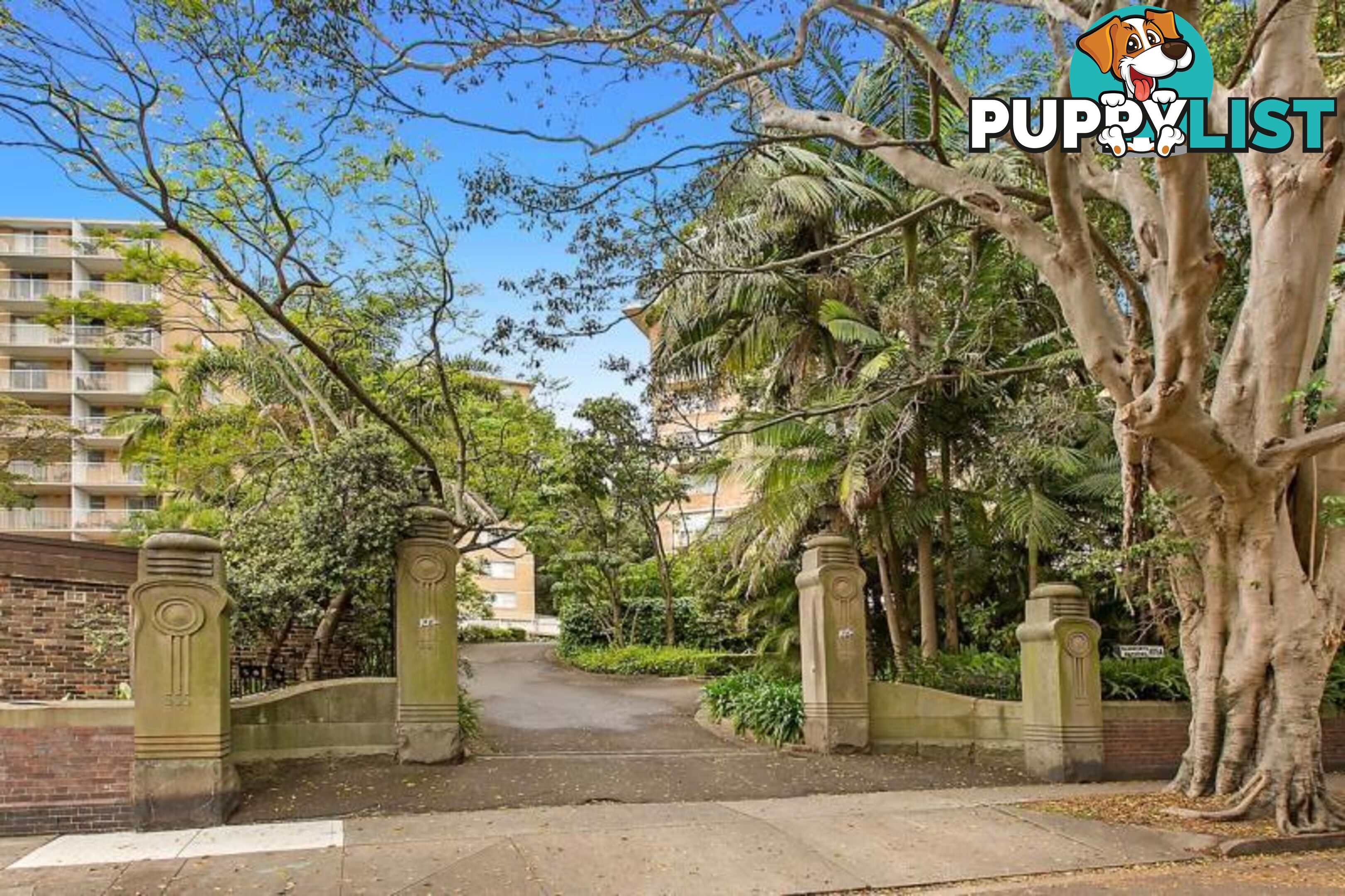 105A Darling Point Road DARLING POINT NSW 2027