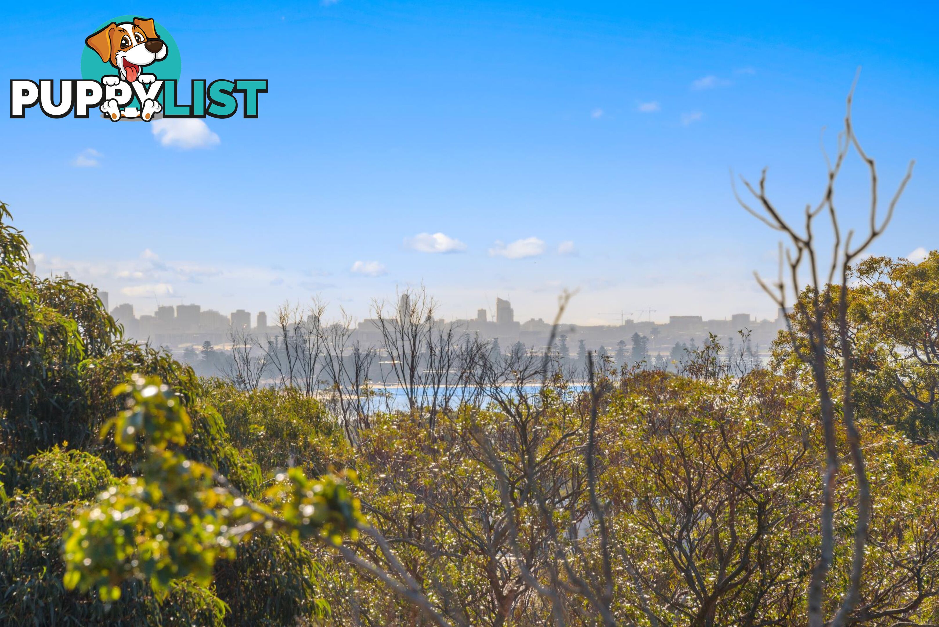 3/298 Taren Point Road CARINGBAH NSW 2229