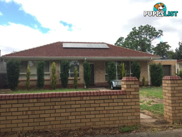 38 Coolibah Road SALISBURY EAST SA 5109