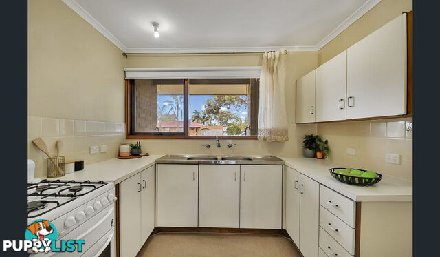 47 Piper Street PARAFIELD GARDENS SA 5107