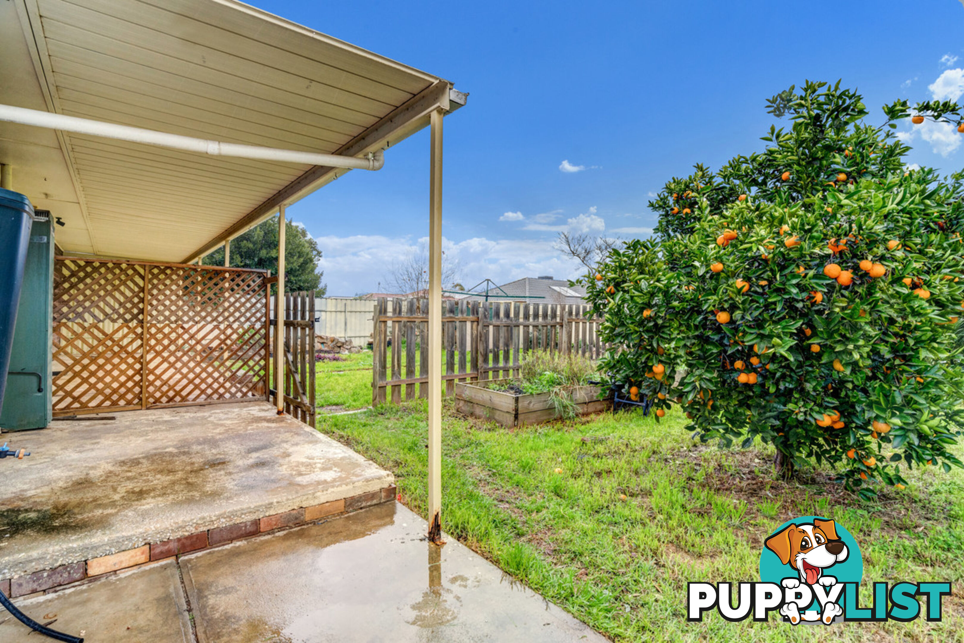 11 Ascot Drive PARALOWIE SA 5108