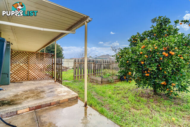 11 Ascot Drive PARALOWIE SA 5108