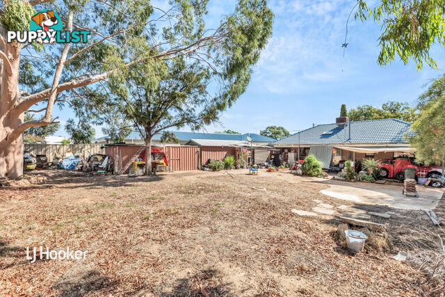 8 Bertana Road PARA HILLS WEST SA 5096