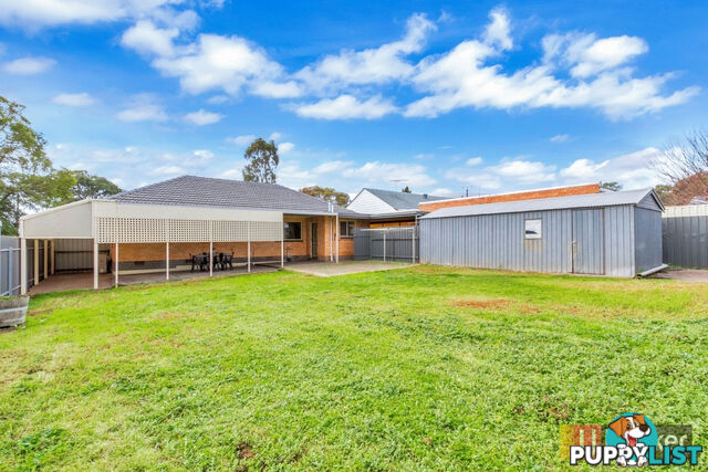 19 Williamson Road PARA HILLS SA 5096