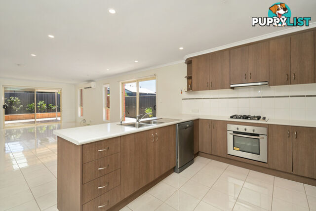 49 Walpole Road PARALOWIE SA 5108