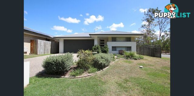 31 Mirima Court WATERFORD QLD 4133