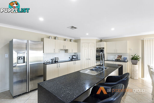 41- 43 Saint Covet Court JIMBOOMBA QLD 4280