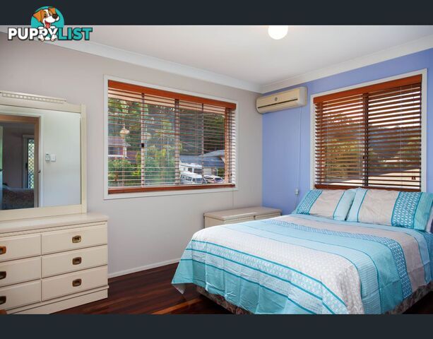 1 Deloraine Drive SPRINGWOOD QLD 4127