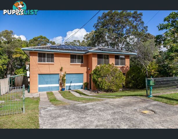 1 Deloraine Drive SPRINGWOOD QLD 4127