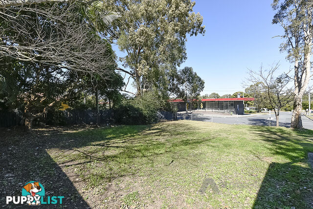 1 Reign Street SLACKS CREEK QLD 4127