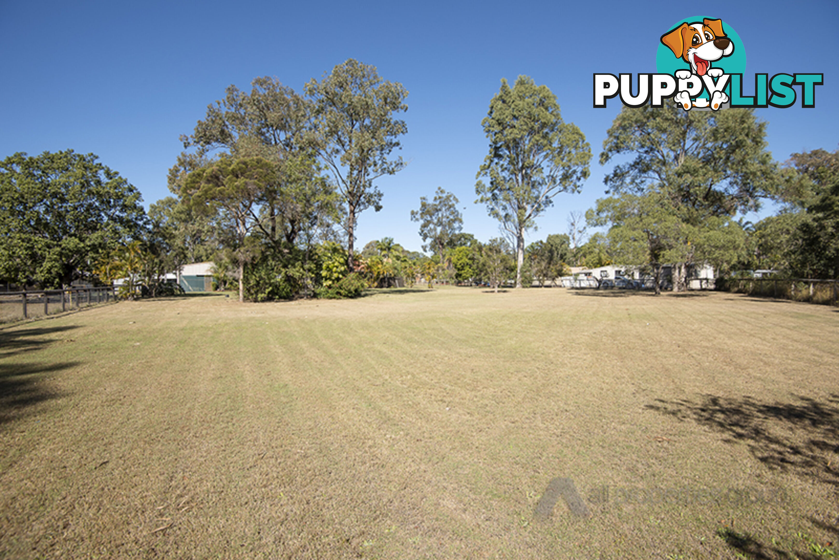 51 Vaughan Drive ORMEAU QLD 4208