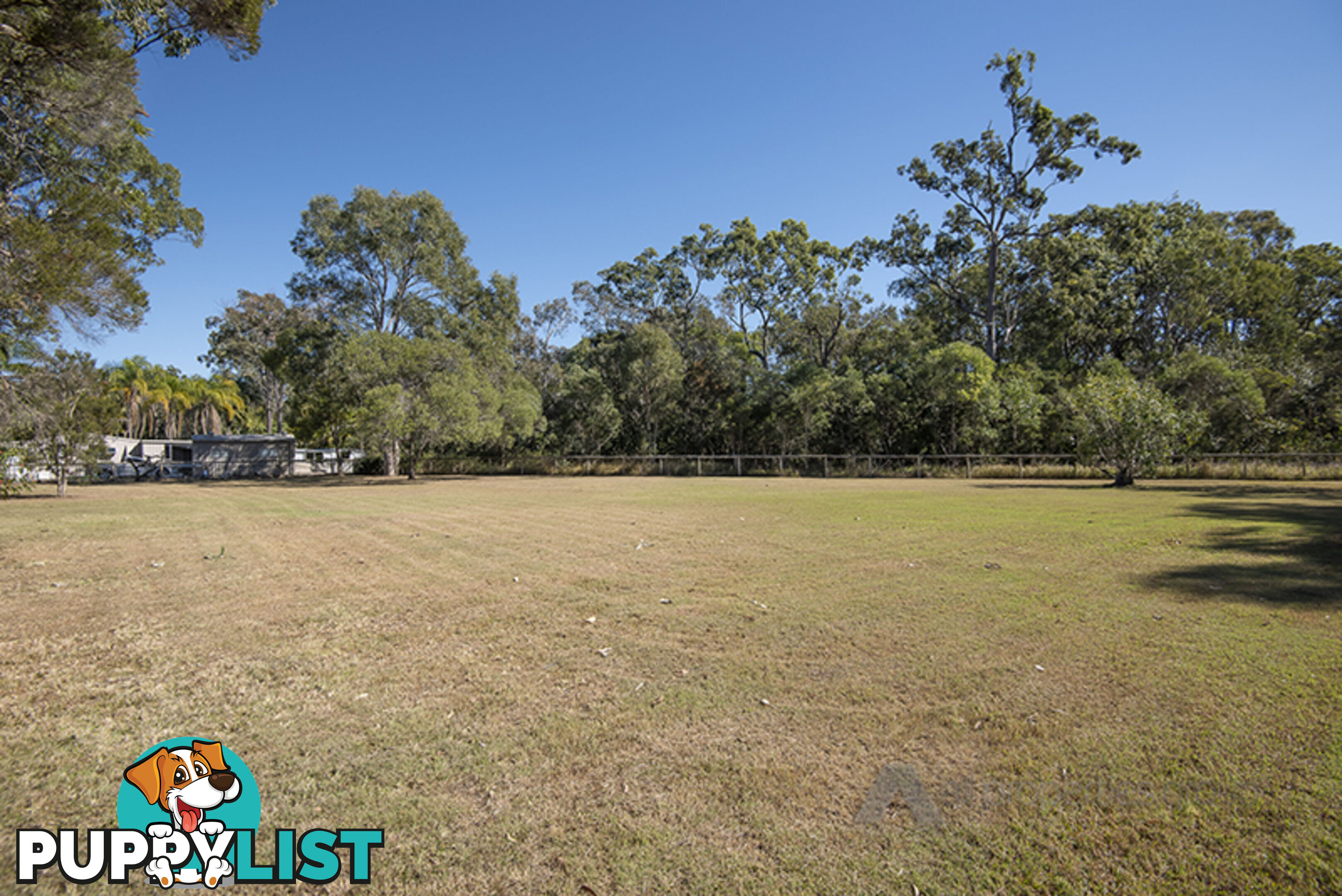 51 Vaughan Drive ORMEAU QLD 4208