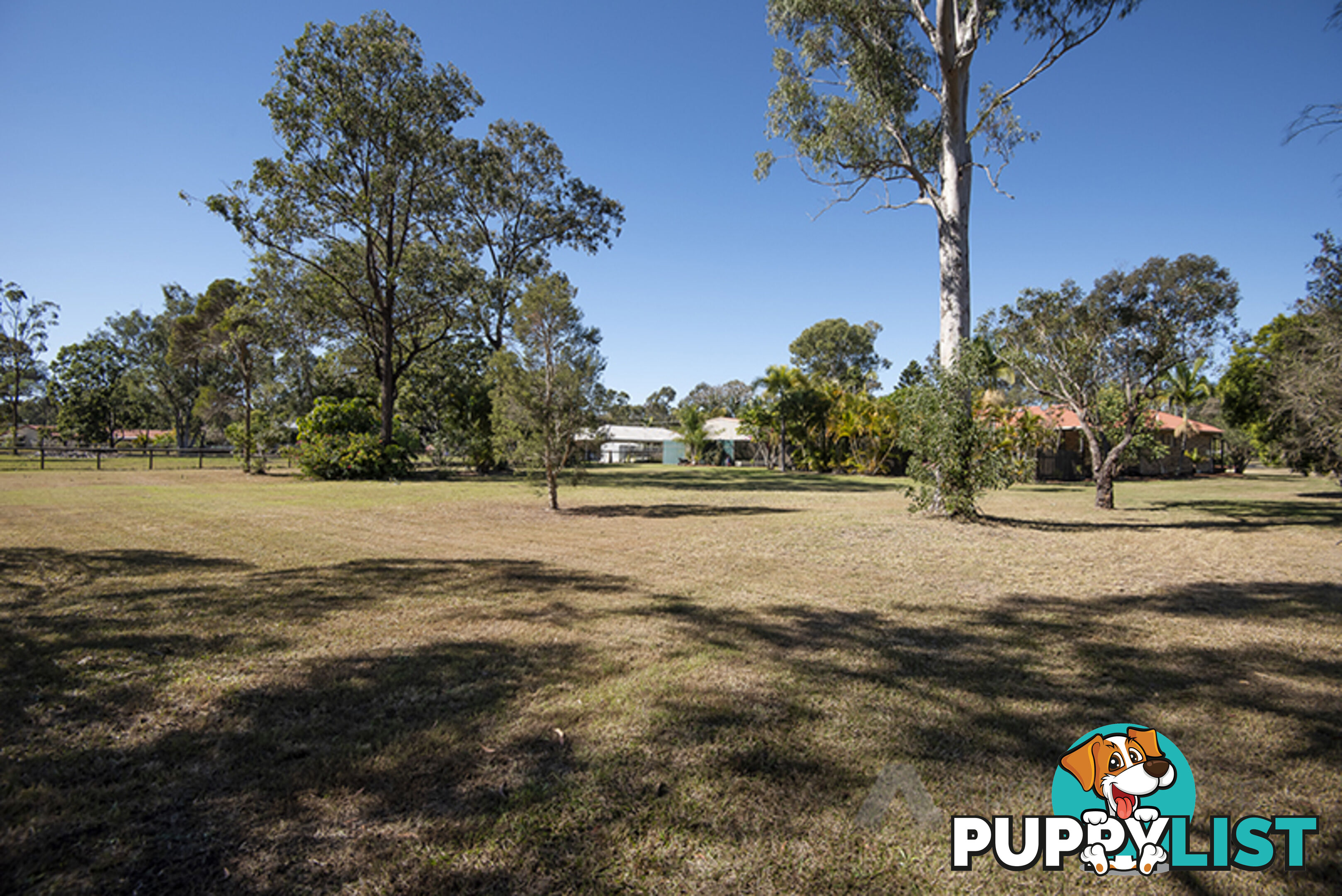 51 Vaughan Drive ORMEAU QLD 4208